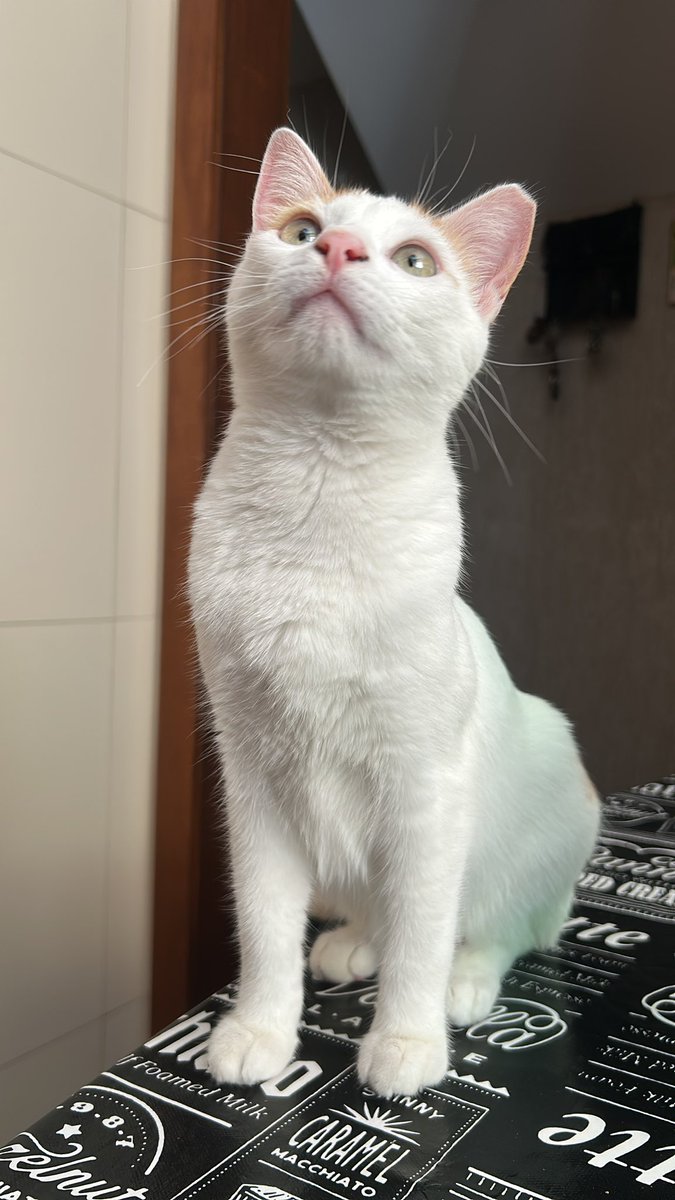 giozitos's tweet photo. 10 anos de azar pra quem não der parabéns pro bruce que faz 1 ano hoje https://t.co/BSZ7aRC6Ed