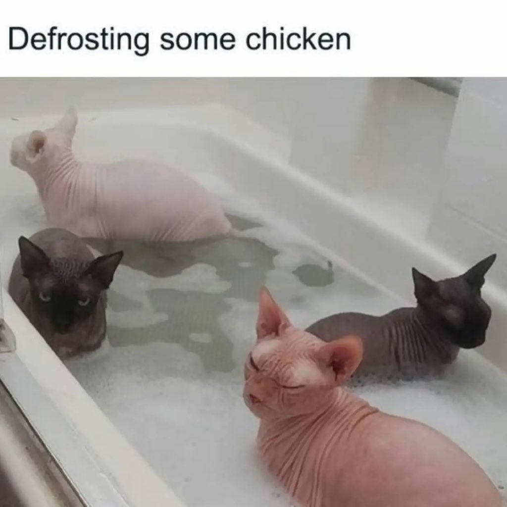 lolsbox's tweet photo. #lolsbox #cat #funny #funnycats #cutecat https://t.co/OmGdaVjVDG