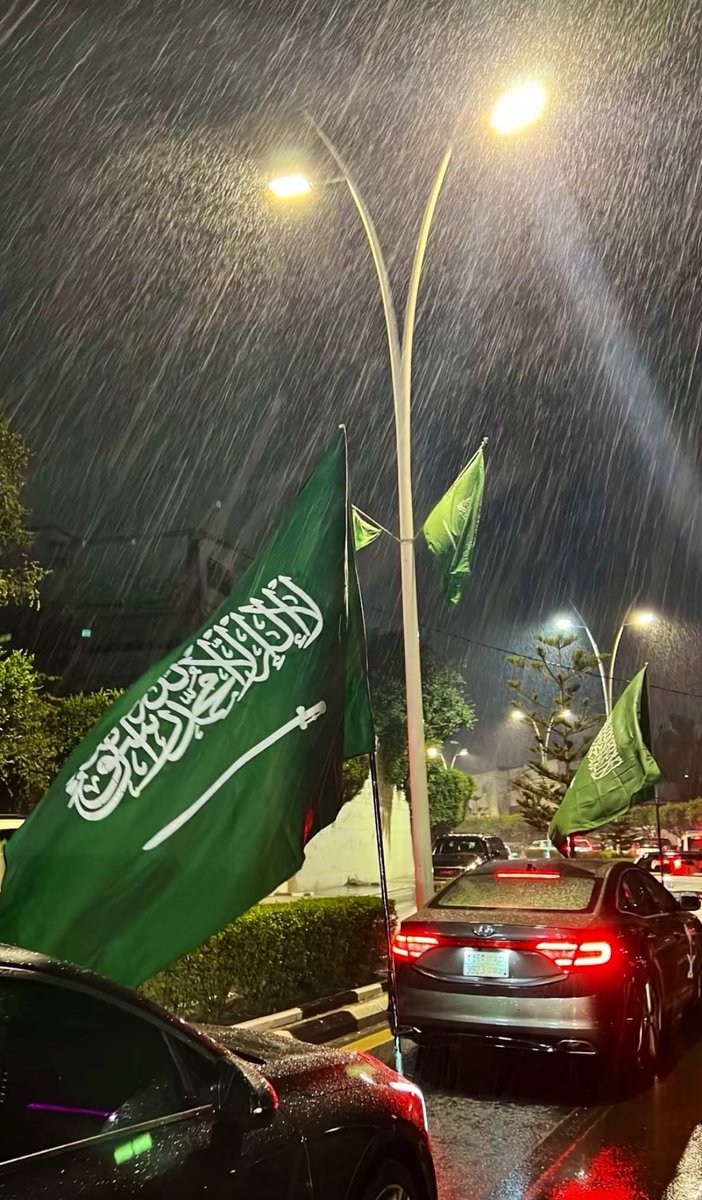 mt_2l's tweet photo. من أجمل الصور اللي شفتها لليوم الوطني💚💚🇸🇦 https://t.co/uKDsvS4uiN
