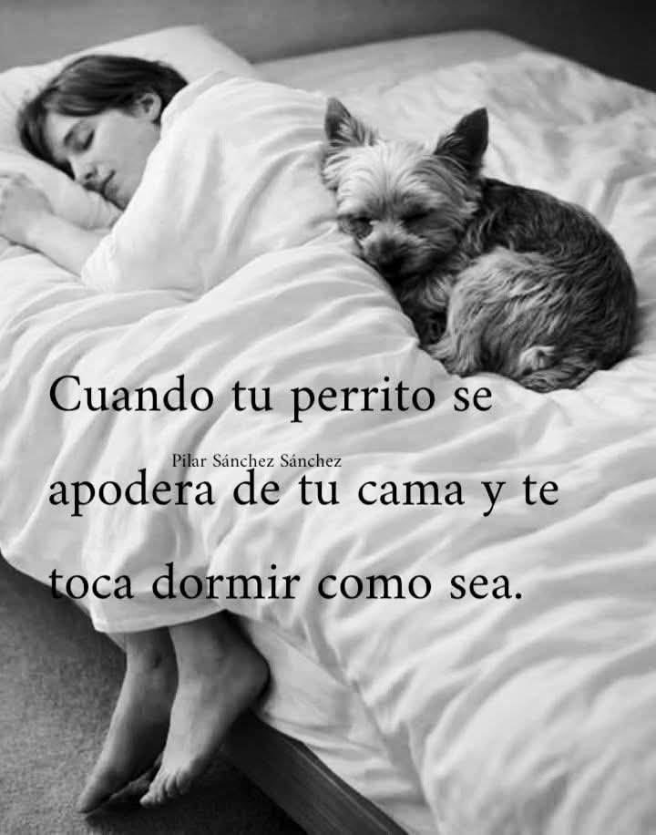 rey_latino33087's tweet photo. https://t.co/ffoxQuZh4I