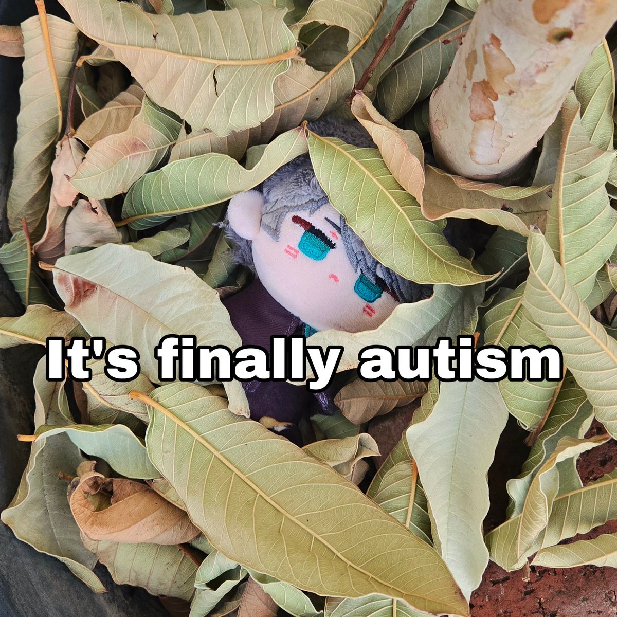 timelynuitham's tweet photo. It's autism equinox. https://t.co/AGsogReCiD