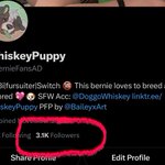 Photo by WhiskeyPuppy (@BernieFansAD)