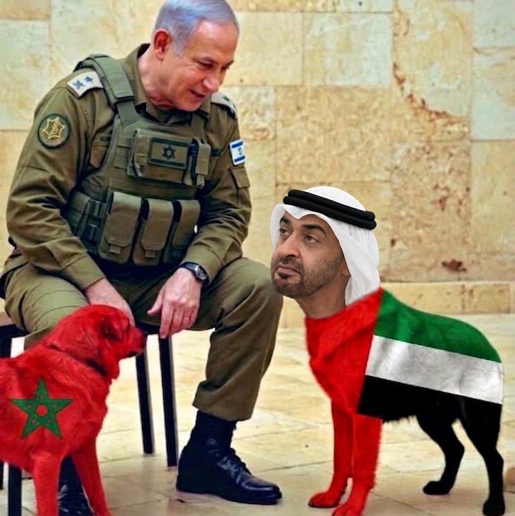 Tmtm2021's tweet photo. @IsraelArabic صحيح https://t.co/jGCjRIKHxT
