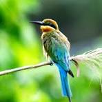 TesLowe25320's tweet photo. Check this image : 2026-09-22T18:15:02.818+01:00 https://t.co/NZoFTRJH0a