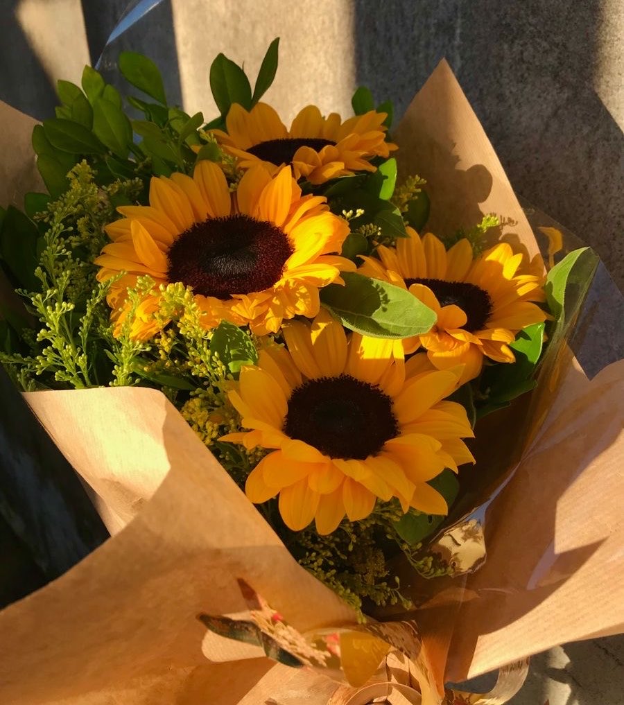 snoopyclub_'s tweet photo. Feliz comienzo de la primavera, hermosota. Que esta nueva estación llegue cargadita de momentos bonitos, sonrisas sinceras y muchas razones para ser feliz. @poesdrxft https://t.co/iey5wJA0rO