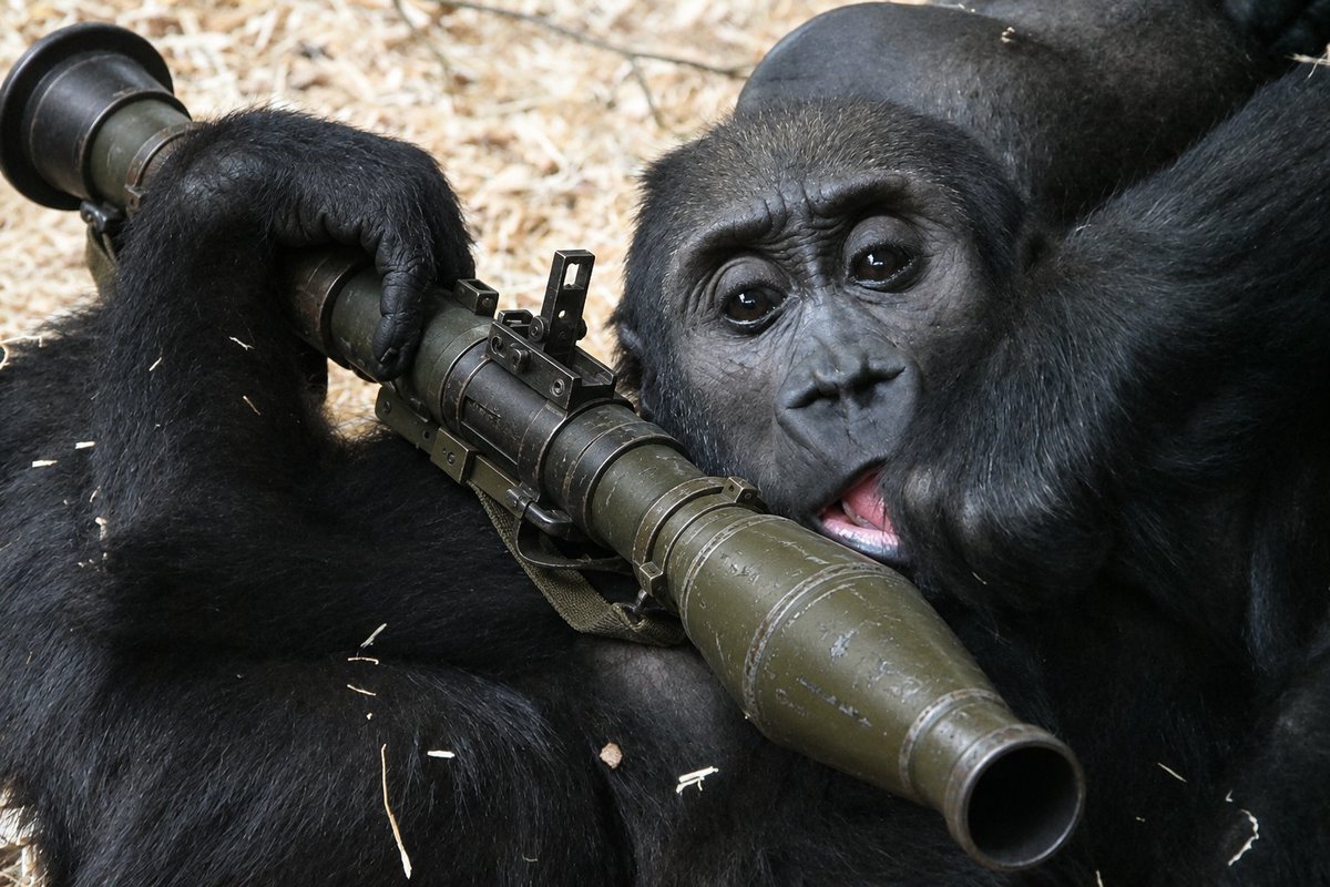 mobigorillafam's tweet photo. Lying on dad. Mobigun π¦π₯ on my shoulder. Now I'm just thinking, who to blow to pieces first...Trump energy.
The bears? The paper hands? The jeets? Decisions, decisions...
#mobigorilla $MOBI #mobigun https://t.co/CrEAryidWP