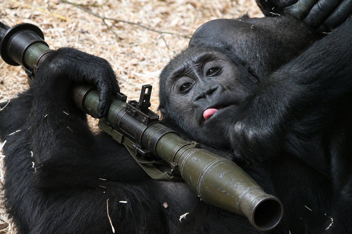 mobigorillafam's tweet photo. Lying on dad. Mobigun π¦π₯ on my shoulder. Now I'm just thinking, who to blow to pieces first...Trump energy.
The bears? The paper hands? The jeets? Decisions, decisions...
#mobigorilla $MOBI #mobigun https://t.co/CrEAryidWP