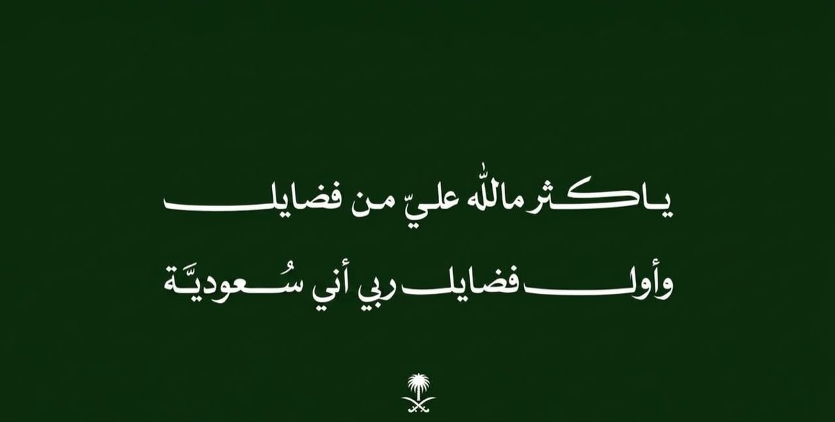 AMQ_2030_'s tweet photo. #اليوم_الوطني_السعودي_٩٦ 🤍✨ https://t.co/vOoiodZhXu