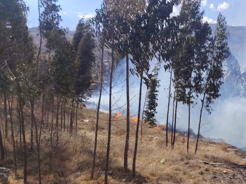 COENPeru's tweet photo. 📢 La Libertad: el 21/9 se registró un #IncendioForestal en el sector Tupullo, distrito y provincia #Otuzco. Personal del municipio provincial y pobladores de la zona extinguieron el fuego. Gobierno local realiza la #EDAN y, al momento, se reportan daños a 2 hectáreas de cobertura natural, mas no a la vida y salud de las personas.