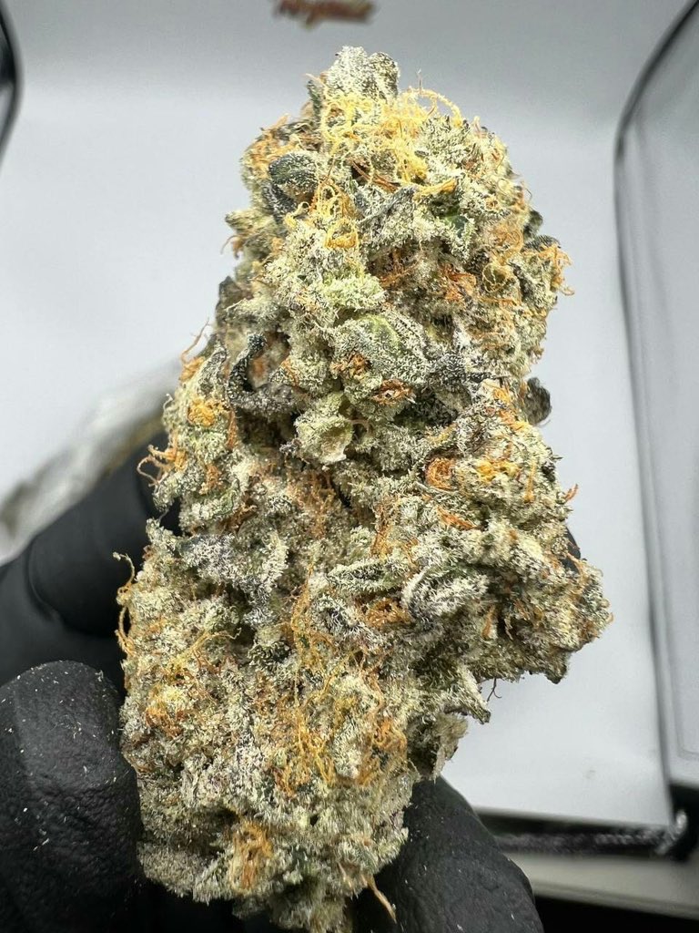 PersiEmmanuel's tweet photo. Livraison rapide et discrète dans tous les coins
Envoyez-moi un message direct pour commander 🇫🇷
Pour l'équipe France 💯
☎️: https://t.co/8fnqJQLESV

WEED #BEUH disponible pour livraison sur commande
#PARIS
#LYON
#MARSEILLE #poupettekenza
NANTES
LORIENT
BORDEAUX
TOULOUSE
Puff thc https://t.co/Bjow8ubUoo