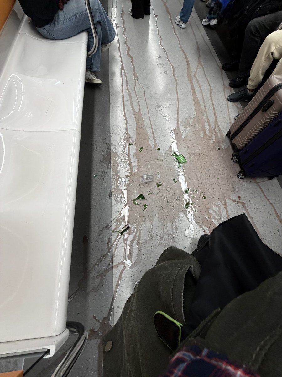 suullezey's tweet photo. M2’de Taksim’e yaklaşırken şarabını düşüren tatlı kız… Önce bi toplamaya çalıştın, baktın olacak gibi değil Taksim de gelmiş, bıraktın indin jdjdjdjd Bence son derece profesyonel kriz yönetimiydi. Zaten metro leş gibi kokuyodu mis gibi şarap koktu üzülme bebeğim 🥳 https://t.co/i1SnptP2kp
