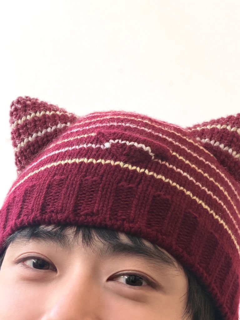 njxbdrl_214's tweet photo. 냥 https://t.co/hJKBGv9la3