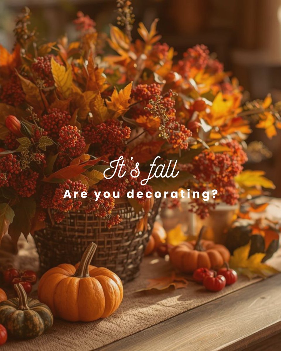 mystocktonagent's tweet photo. Embrace quick and cozy fall decor by layering pillows and throws to create the perfect comfy corner. 🍁

#FallVibes #HomeDecor #FallStyle #CozyHome #FallDecor https://t.co/z5ijkX6nbM