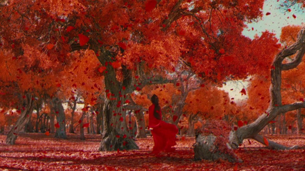 TheAcademy's tweet photo. Scenes for the season. 🍂

Featured films: When Harry Met Sally… (1989), Hero (2002), Little Women (2019), Fantastic Mr. Fox (2009) https://t.co/ZZPcvTVK2D