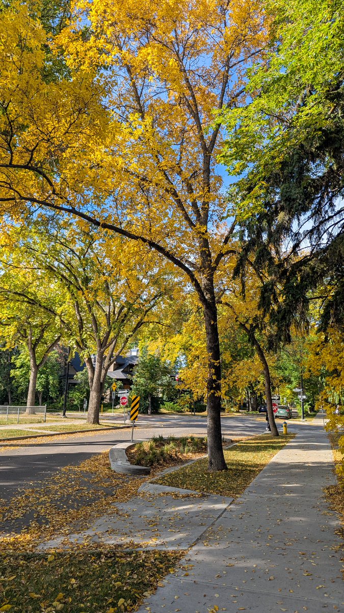 DrewweinerPR's tweet photo. Best time of year 🍂 https://t.co/gtkvrkJRNW