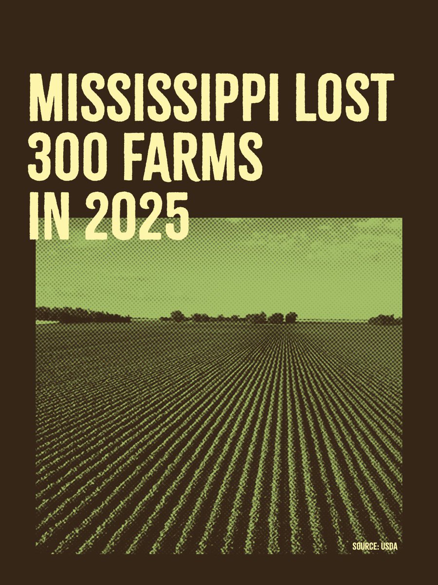 BennieGThompson's tweet photo. Mississippi lost 300 farms last year.

Trump’s trade wars and economic policies are making it even harder for our farmers to keep their operations running. When farmers struggle, rural communities struggle.

I will continue fighting to lower costs, strengthen markets, and protect Mississippi’s farm families and rural economy.
