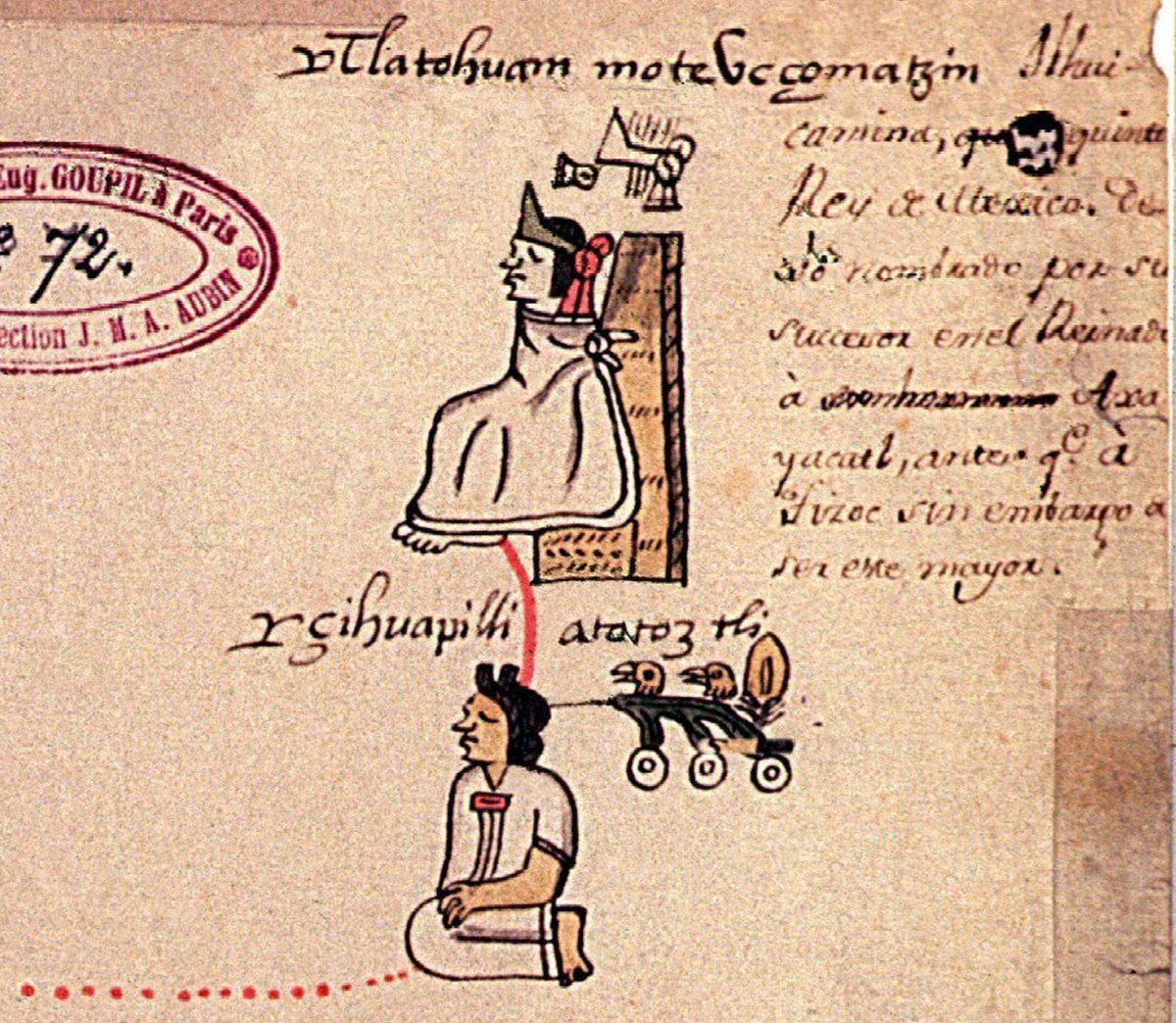 Lycaones's tweet photo. Atōtōztli fue la hija legítima de Motēuczōmah I, también conocido como Ilhuicamīna «El que lanza flechas al cielo». Debido a que él no tuvo herederos varones directos al momento de su muerte, ella se convirtió en la depositaria y el puente del linaje real legítimo de Tenochtitlan. Se casó con Tezozomoctli, hijo del anterior tlàtoāni Itzcōhuātl, y de esta unión nacieron tres de los soberanos más importantes de Mēxìco-Tenōchtitlan: Āxāyacatl, Tīzoc y Āhuizotl, quienes gobernaron sucesivamente, además de ser la abuela de Motēuczōmah II y Cuitlāhuac. Su papel histórico fue el de matriz de la dinastía mexica.

Ciertos cronistas coloniales, como Toribio de Motolinía, Gerónimo de Mendieta o la dupla de Chimalpahin y Gómara, afirman que a la muerte de Motēuczōmah I le sucedió en el reino su hija o que gobernó entre su padre y su hijo Āxāyacatl. Sin embargo, ningún códice o pintura indígena prehispánica o colonial temprana, como el Códice Mendoza, la dibuja vestida como monarca, portando el xiuhhuitzōlli «la diadema puntiaguda de turquesa», que es la tiara de origen mesoamericano que usaban los gobernantes, ni sentada sobre el icpalli «el asiento de estera real». En la nómina y cuenta de los años oficial de Tenochtitlan, la cronología pasa directamente de Motēuczōmah I a su hijo Āxāyacatl.

La versión de que Atōtōztli reinó como monarca titular proviene de una reinterpretación legal en el siglo XVI promovida principalmente por Doña Isabel Motēuczōmah y su esposo español Juan Cano en sus pleitos judiciales ante la Corona española (esto consta en las Cartas de Juan Cano y en documentos como Origen de los mexicanos o la Relación de la genealogía). De hecho, este origen legal descarta la teoría de un borrado indígena. En el sistema mexica, los bienes del altépetl pertenecían a la institución política. Jamás se transferían de forma automática por vía hereditaria a una mujer. Para reclamar esas inmensas riquezas imperiales, Cano necesitaba establecer un precedente jurídico a su medida. Argumentó ante los jueces castellanos, cuyo derecho europeo sí permitía heredar señoríos por vía femenina a falta de varones, que Atōtōztli había sido reina titular de Tenochtitlan. Al fabricar este antecedente dinástico, la exigencia de Isabel adquiría una justificación absoluta para retener el patrimonio estatal bajo los estándares de la sucesión europea.

Además, en el período de máxima expansión del imperio tenochca, el cargo de tlàtoāni poseía un carácter dinástico y, al mismo tiempo, exigía ser el líder eminentemente religioso y supremo comandante militar o Tlācateccatl. El gobernante debía encabezar personalmente a las tropas en el campo de batalla y capturar cautivos para los sacrificios. Por la estructura de la guerra mexica, este rol político y militar no era desempeñado por mujeres. Su papel nobiliario o cihuāpilli «mujer noble o señora» se centraba en preservar y transmitir la pureza del linaje sagrado culhua-tolteca a sus hijos.

Las crónicas e historias indígenas registraban a mujeres gobernantes cuando realmente ejercían el poder. En los Anales de Cuauhtitlan se documentan abiertamente los reinados de señoras gobernantes como Xiuhtlahcuilōlxōchitzin, Iztācxīlōtzin, quien reinó once años con sus chichimecas, y Ēhuatlīcuetzin. En el Imperio Tolteca, cronistas como Fernando de Alva Ixtlilxóchitl registran el gobierno de la reina Xiuhquēntzin o Xiuhtlāltzin durante cuatro años. Si el sistema de registro de los tlahcuilohquê «escribas o pintores» y los anales nahuas plasmó a reinas gobernantes en Cuauhtitlan o Tollan, no habrían excluido a Atōtōztli por el hecho de ser mujer. Su ausencia del catálogo de los tlàtòquê «gobernantes o reyes» de Tenochtitlan se debe a que ejerció el rol de matriz y puente legítimo de la estirpe real.