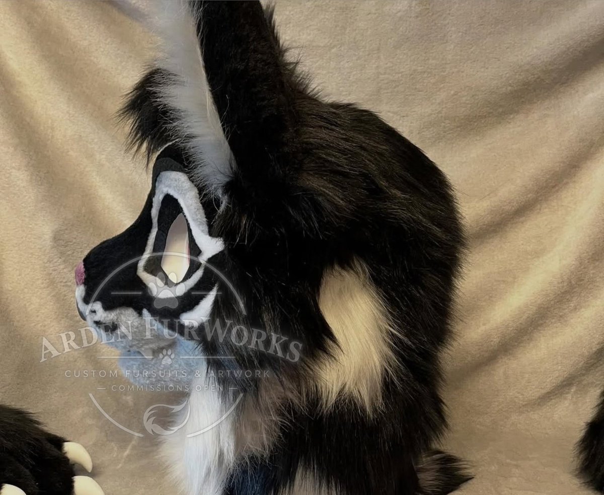 ArdenFurWorks's tweet photo. Another custom partial fursuit brought to life from the detailed head to the fluffy paws and tail every piece was crafted with care commissions are open
.
.

.
#Fursuit #FursuitMaker #PartialFursuit #Furry #Fursona #CustomFursuit #FursuitCommission #Fursuiter #FurryArt https://t.co/hZRaZ2BGqX