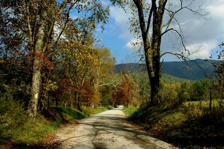 Lyriciam's tweet photo. Welcome Autumnππ
"The roads that I travel may not be smooth and leisurely, but are the roads where I can lean into the quiet truth of the journey: and not in the destination." And there I find a feast to feed my body and soul.
lyriciamβ€οΈ
#autumn #nature #fallingleaves #poetrylovers