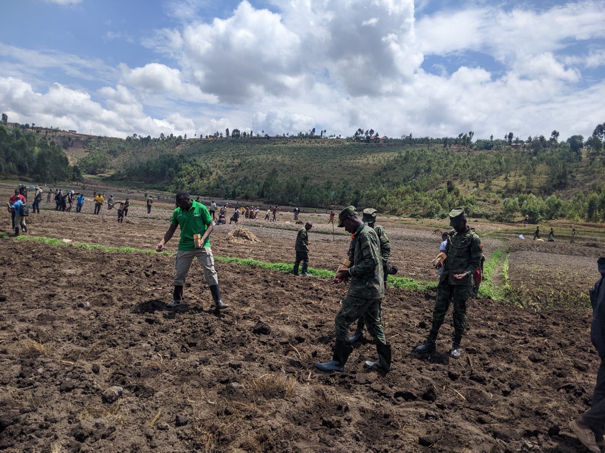 HoReCo_Rw's tweet photo. The 2027A Agriculture Season officially kicked off today in @NyaruguruDistr , with maize planting launched in #Kibeho and #Rusenge.

At Kibaza Marshland (30 ha), farmers were encouraged to prepare land early, plant on time, and complete planting within the first two weeks.

#HoReCo is proud to support this drive to boost agricultural productivity.
