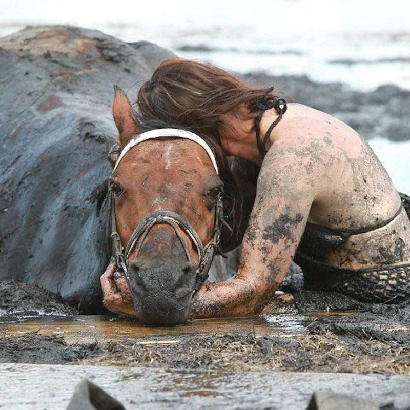 A Woman Stayed With Her Trapped Horse for Three Hours

In 2012, a horse named Astro became trapped in deep coastal mud near Geelong, Australia. His owner stayed