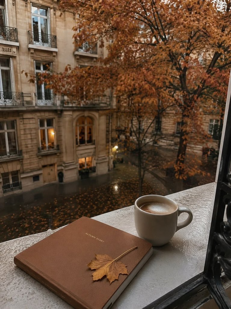 modernlilithh's tweet photo. welcome back, autumn 🍂 https://t.co/e36SpxLSX5
