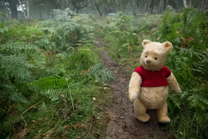 Xlikescats's tweet photo. happy #happyfatbearweek from the OG fat bear https://t.co/aEssm4c3s1