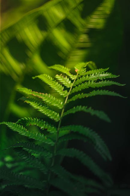 ReeceLPPeckEMJ's tweet photo. James Wyatt Unexpected become the best stories Hannah Scarlett moments margarett rosener🥦 https://t.co/JD56J5R5wM