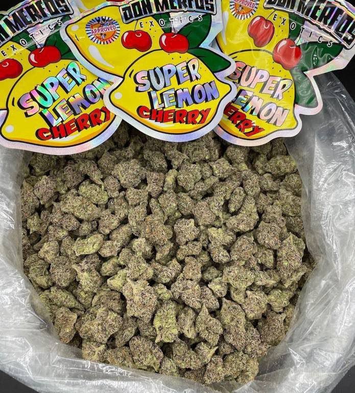 Germanykush1's tweet photo. Weed Garmisch-Partenkirchen, Zugspitze, Berchtesgaden, Königssee, Oberstdorf, Rothenburg ob der Tauber, Bamberg, Würzburg, Regensburg, Passau, Ulm, Freiburg im Breisgau, Black Forest, Baden-Baden, Karlsruhe, Mannheim, Ludwigshafen, Mainz, Wiesbaden, Trier, Porta Nigra https://t.co/kzqDiC8dL8