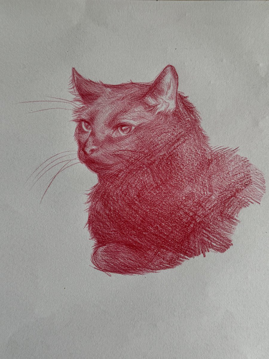 hotsoggi's tweet photo. here is an old colored pencil drawing of my cat that i made back when i was a summer camp art teacher https://t.co/M5U4oI3cA8