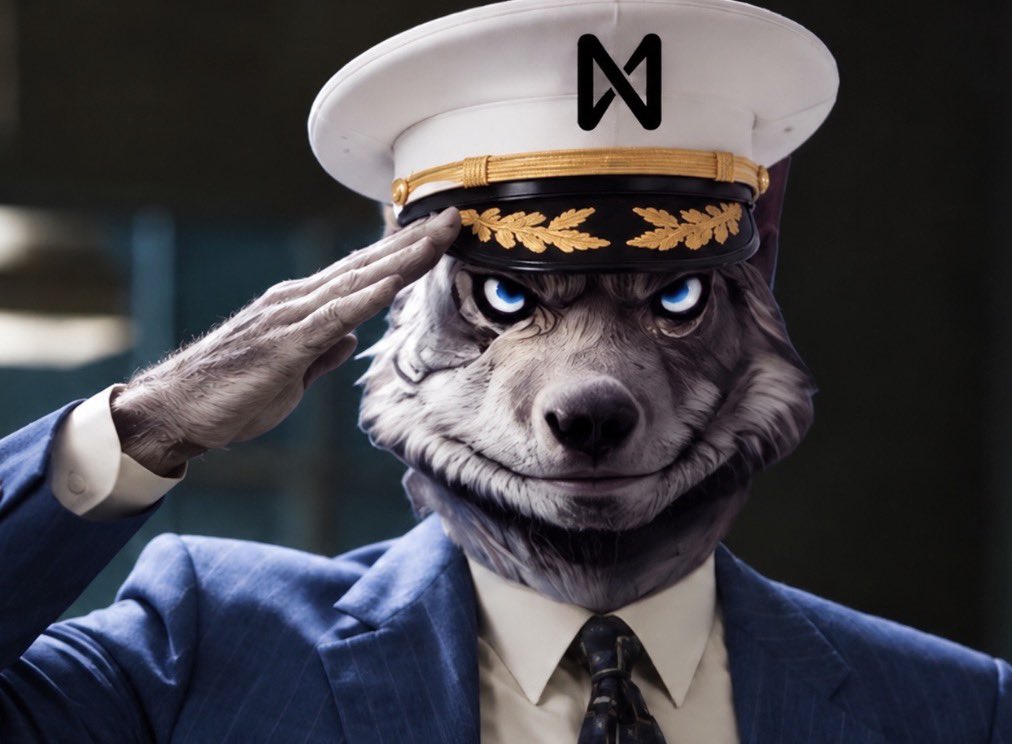 Wolfquant's tweet photo. @ShitzuCommunity https://t.co/PcYDxDF9qP