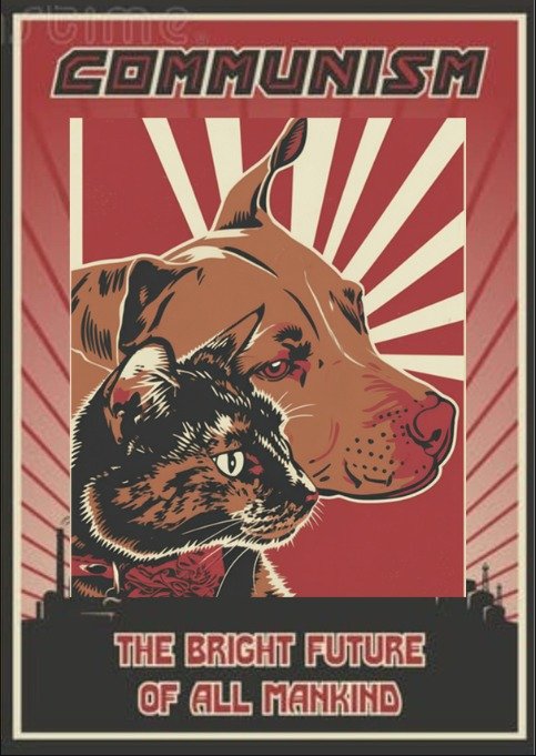 Squirral_'s tweet photo. Les tomé una foto y parece propaganda comunista ⚒️ https://t.co/ZSBmbo8MGc