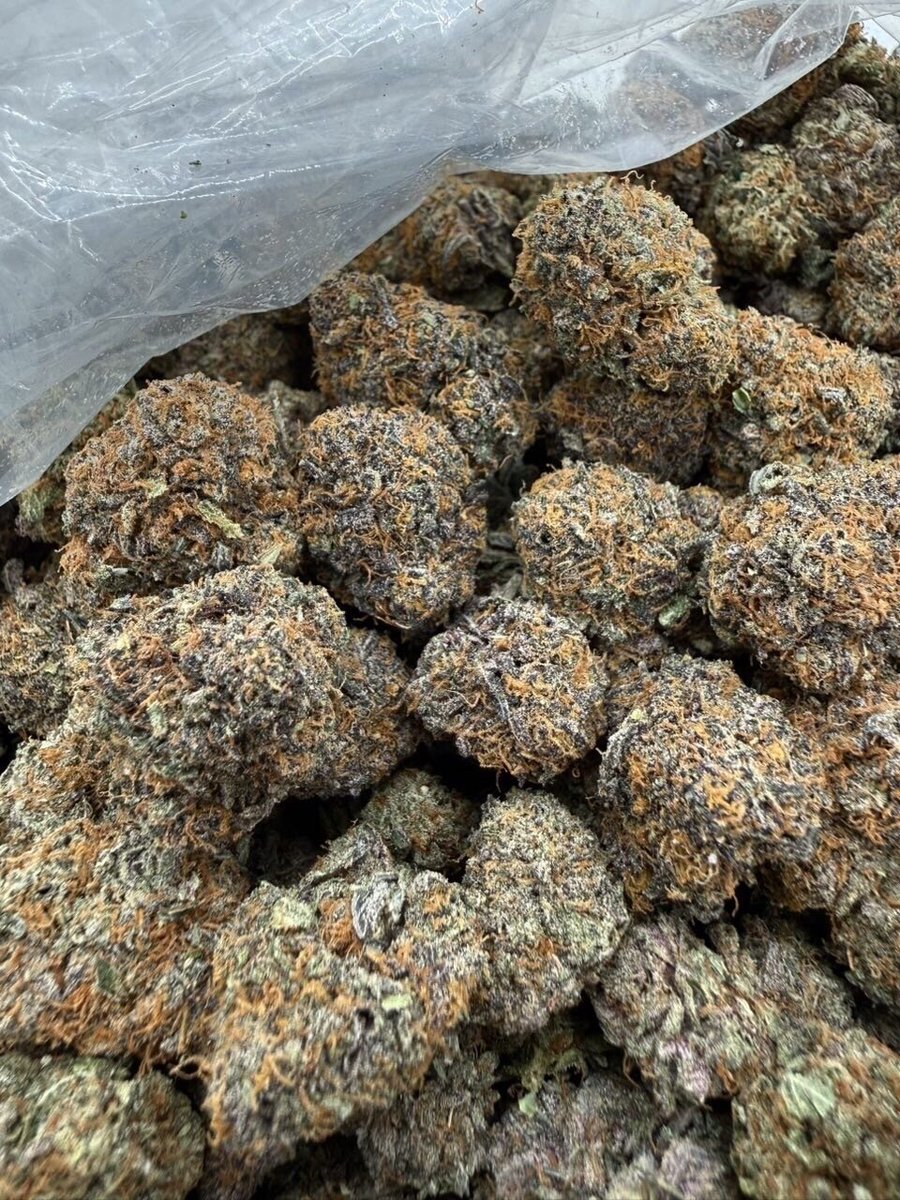 Germanykush1's tweet photo. Weed Bayreuth, Landshut, Celle, Fulda, Garbsen, Rüsselsheim, Tübingen, Castrop-Rauxel, Gladbeck, Viersen, Herten, Rheine, Detmold, Troisdorf, Wilhelmshaven, Lüneburg, Dorsten, Arnsberg, Delmenhorst, Landsberg, Sindelfingen, Rosenheim, Neubrandenburg, Bocholt https://t.co/QplBLCG8bJ