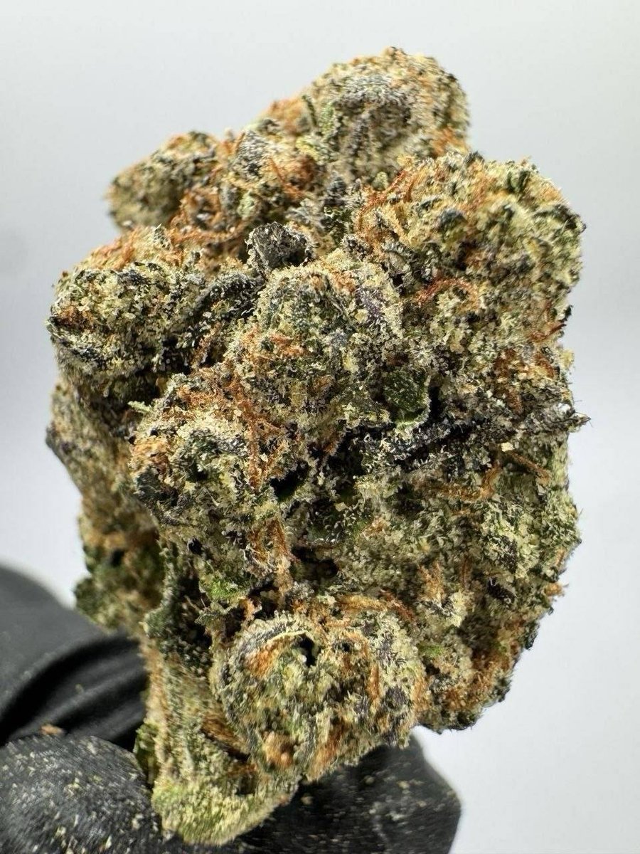 Germanykush1's tweet photo. Weed Garmisch-Partenkirchen, Zugspitze, Berchtesgaden, Königssee, Oberstdorf, Rothenburg ob der Tauber, Bamberg, Würzburg, Regensburg, Passau, Ulm, Freiburg im Breisgau, Black Forest, Baden-Baden, Karlsruhe, Mannheim, Ludwigshafen, Mainz, Wiesbaden, Trier, Porta Nigra https://t.co/kzqDiC8dL8
