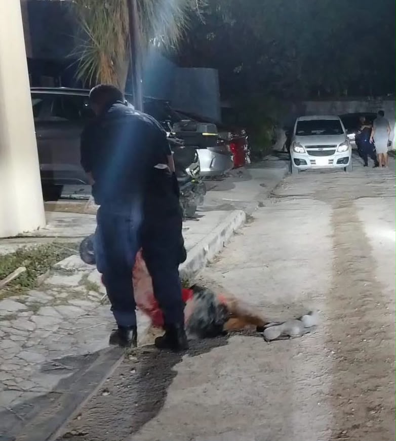 AQRNoticias's tweet photo. Vecinos retienen a hombre armado para exigir mayor seguridad en Cancún
https://t.co/hAa9LVhAW6

😎 Agenda QR más cerca de ti, ahora en Whatsapp 
https://t.co/9TprrjxOOS

#AgendaQR, #AkumalFM, #Cancun, #NoticiasCancun, #SeguridadEnCancun, #Supermanzana91 https://t.co/99hY4zRMEY