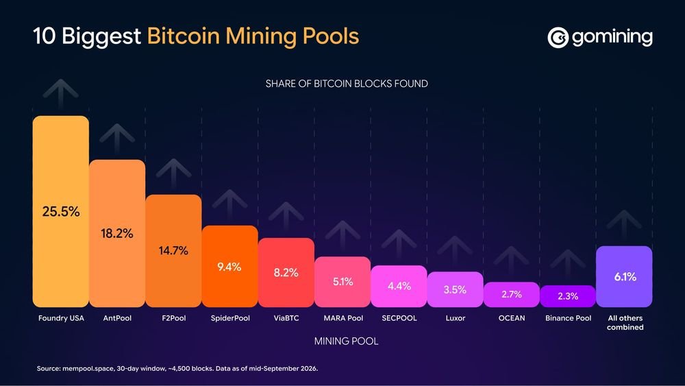GoMining's tweet photo. New to Bitcoin mining? Here is one thing worth understanding early: what a mining pool actually does.

Mining solo is like buying one lottery ticket a year. A pool is thousands of miners combining their power and sharing the rewards, so you earn small amounts steadily instead of almost never.

Which pool you pick matters less than most people think. What changes is how often you get paid and how much goes to fees.

We broke it all down simply 👇
