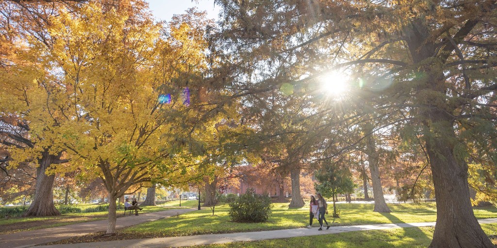 TXSTGradCollege's tweet photo. The changing of the season brings a renewed focus to the graduate community. TXST graduate students are balancing advanced coursework, teaching responsibilities, and groundbreaking research as the fall semester gets fully underway. 🍁🔬#FallEquinox #TXSTGradCollege https://t.co/0iTylMpRbF