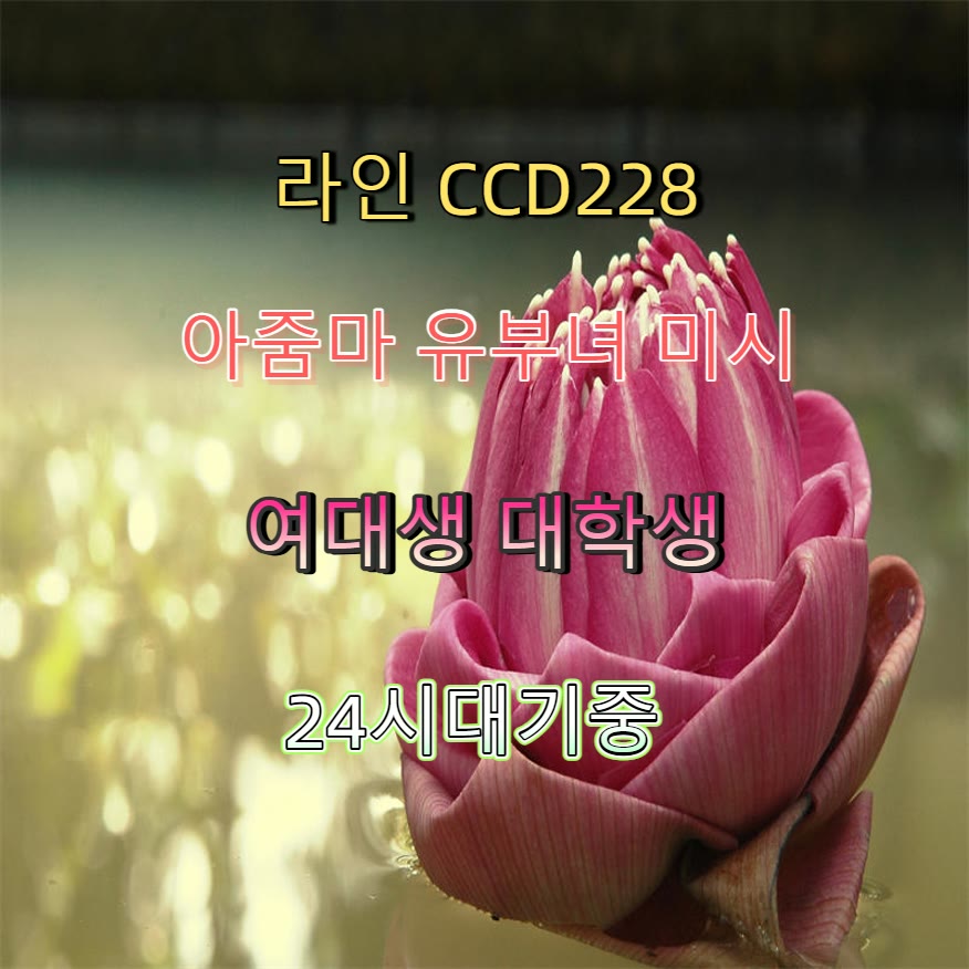 bioforge529476's tweet photo. 😋🎾
#사천 #사천ㅈㄱ
#맘눌뎀 #사천조건 #만남
 #ㅈㄱ https://t.co/DL6aCtV7NH