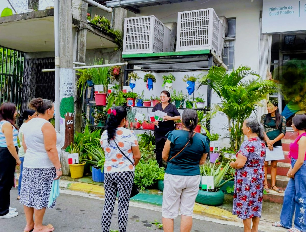 Salud_Guayas's tweet photo. Fortalecemos la salud intercultural ⚕️🌿
#ElEmpalme | En el Centro de Salud #ElLimón, se desarrollan actividades orientadas al fortalecimiento del huerto medicinal, como parte de las acciones de promoción de la salud y fortalecimiento de la Salud Intercultural. https://t.co/iexapYrD9B