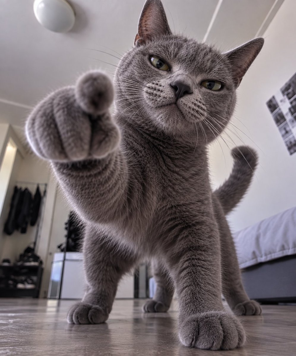 echodatruth's tweet photo. YOU GOT 9 LIVES AND STILL NO MOTION?! 🫵😭 https://t.co/3cfp6CCH2w