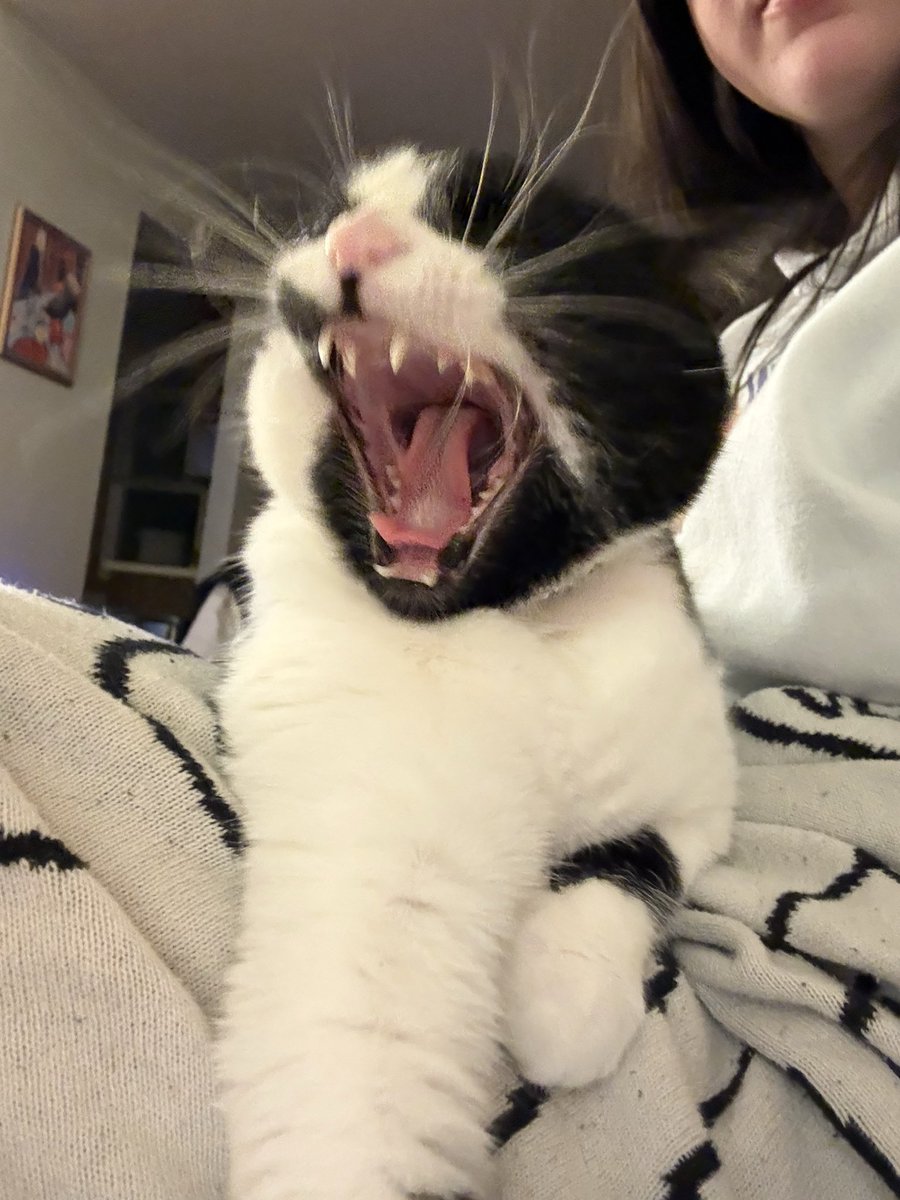 escapethemirage's tweet photo. my favorite genre of photo https://t.co/gDJahskZ7K