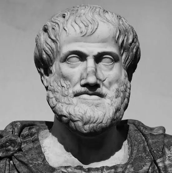 Elmembrela's tweet photo. @rayofvulnicura "No te vamos a creer justamente por tu condición de zurdo" Se habra sentido como aristóteles(?) https://t.co/rFACsZNvns