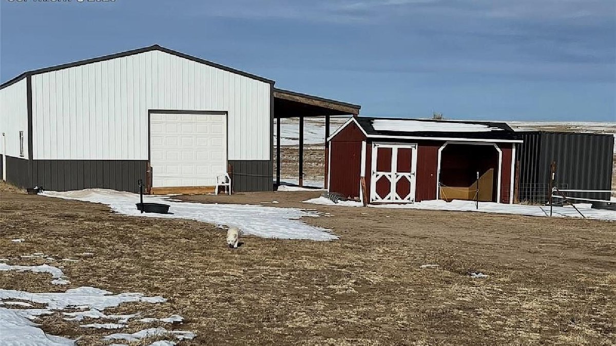 UliPryse's tweet photo. Find peace and space at 12155 Oil Well Rd, Calhan, CO, your serene retreat with endless potential for $305K. 🌅🌾✨ https://t.co/K8TD4jXGor