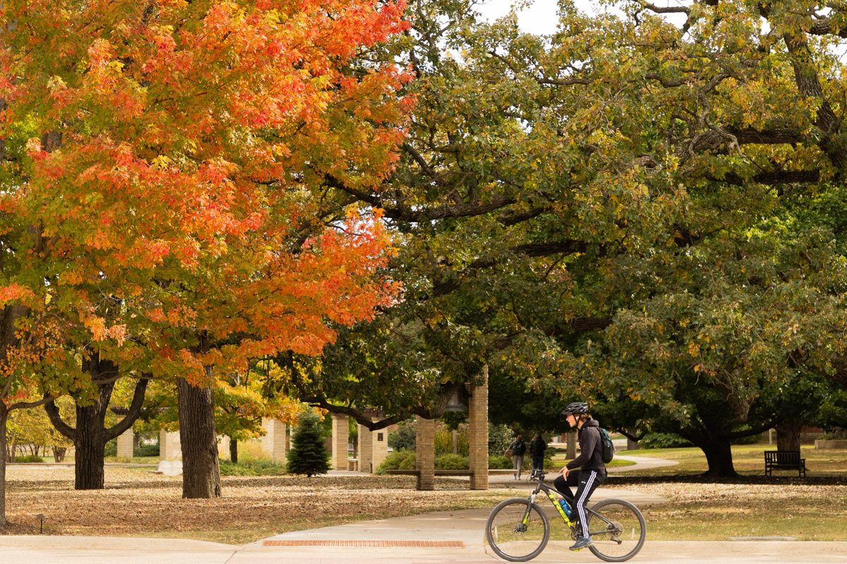 luthercollege's tweet photo. Happy first day of fall, Norse! Here’s to another beautiful season on campus.🍁 https://t.co/UXFr0FUA98