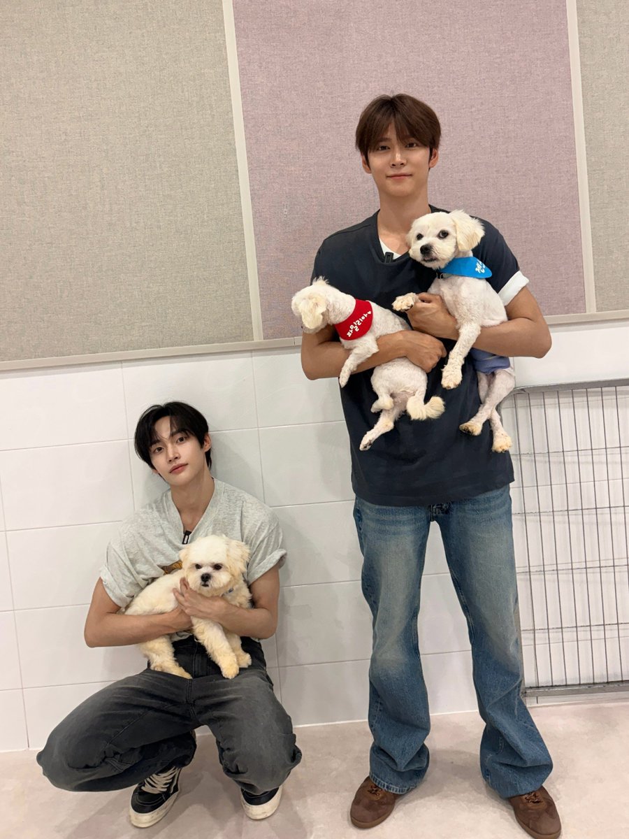 pvarkwonbin's tweet photo. Puppy cuddles endless fun with Eunseok hyung. https://t.co/HdtsXnPlLt