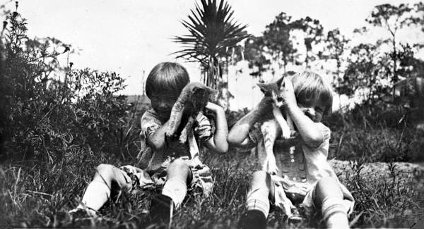 StateLibraryFL tweet picture