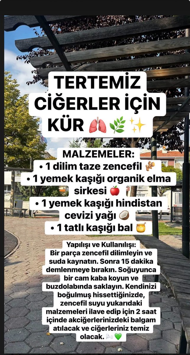 Recepsamuncu1's tweet photo. TERTEMİZ CİĞERLER İÇİN KÜR 🫁🌿✨
MALZEMELER:
 * 1 dilim taze zencefil 🫚
 * 1 yemek kaşığı organik elma sirkesi 🍎
 * 1 yemek kaşığı hindistan cevizi yağı 🥥
 * 1 tatlı kaşığı bal 🍯
Yapılışı ve Kullanılışı:
Bir parça zencefil dilimleyin ve suda kaynatın. https://t.co/t0isTtqB3F
