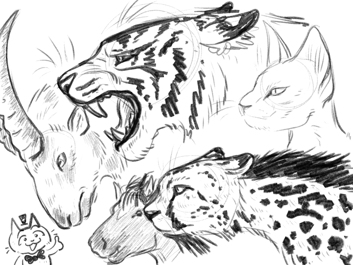 AsiesTetoDraws's tweet photo. animal sketches from class https://t.co/ZYnDywpct6
