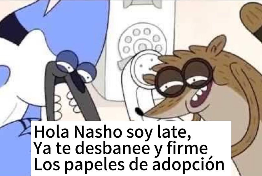 SrPiplup's tweet photo. LO HICISTE MIERDA LATESITOO https://t.co/66xI2anzHI