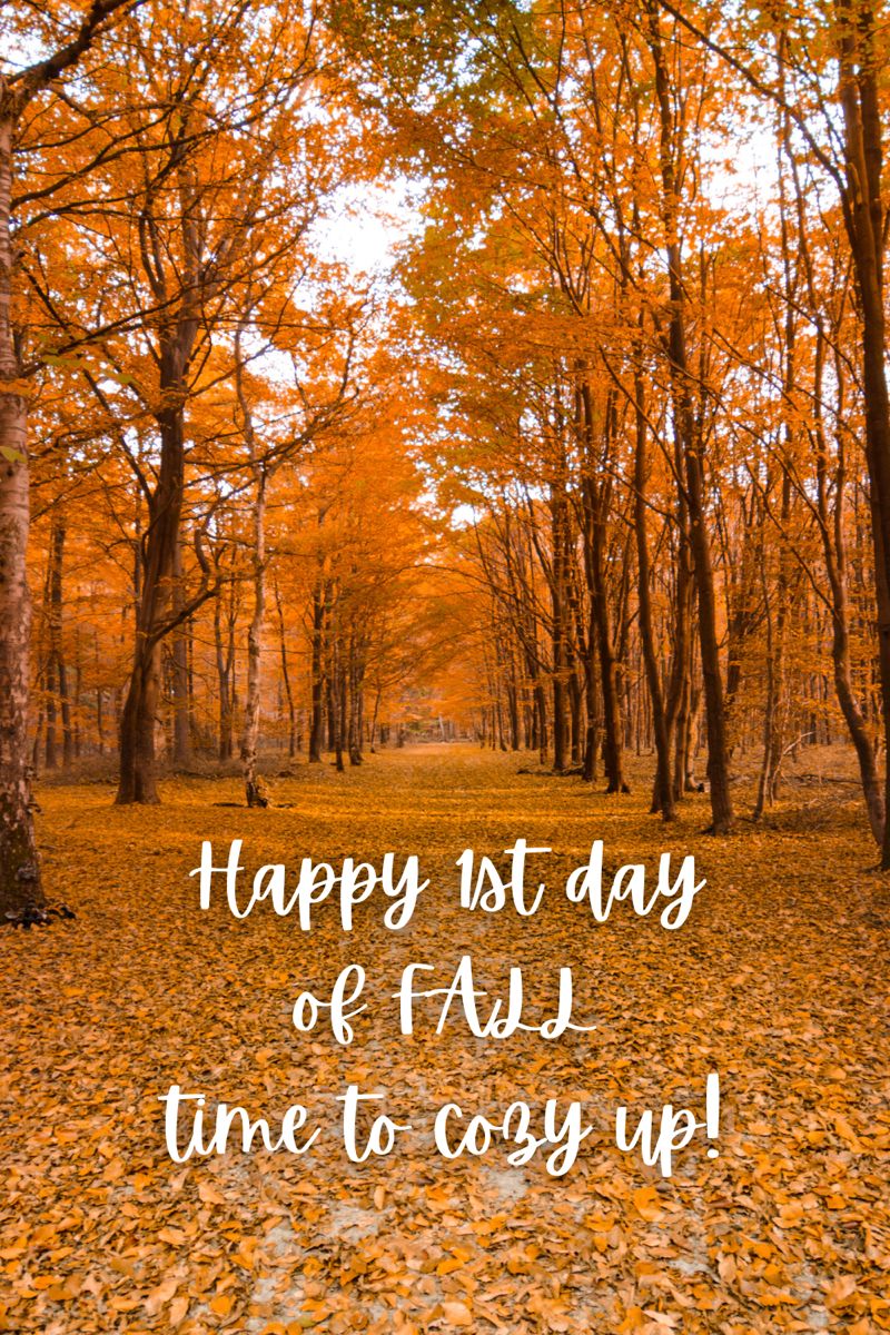 Jerseyguy427's tweet photo. Happy First Day of Fall/Autumn. Meant to post earlier, fighting a cold here. Still under the weather though, very cloudy and rainy week here so far. Hope the weather is better by you.
#firstdayofautumn #AutumnStyle #Autumn2026 #FallInLove #FallVibes #fall https://t.co/ncOjASaoMm